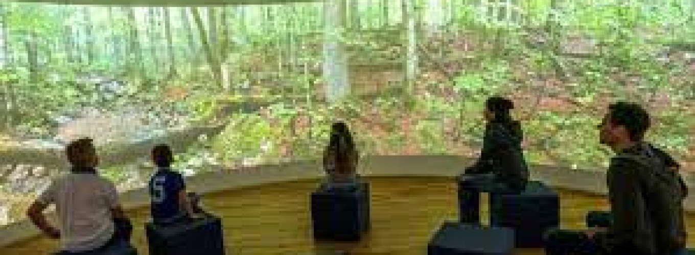 Haus der Wildnis Lunz